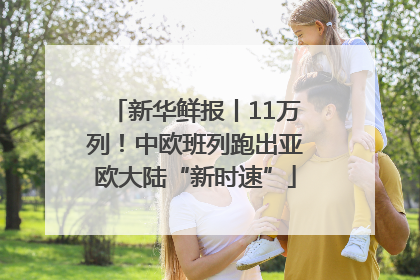 新华鲜报丨11万列！中欧班列跑出亚欧大陆“新时速”