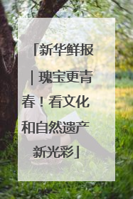 新华鲜报｜瑰宝更青春！看文化和自然遗产新光彩