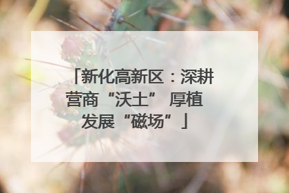 新化高新区：深耕营商“沃土” 厚植发展“磁场”