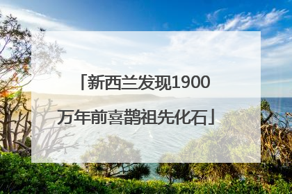 新西兰发现1900万年前喜鹊祖先化石