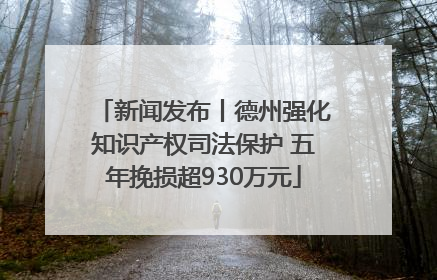 新闻发布丨德州强化知识产权司法保护 五年挽损超930万元