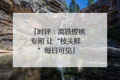 时评：高铁樱桃专厢 让“枝头鲜”每日可见