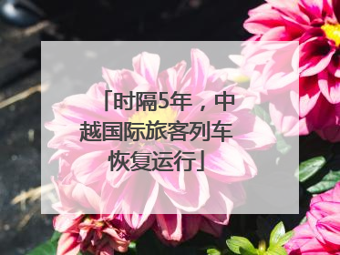 时隔5年，中越国际旅客列车恢复运行