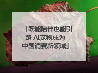 既能陪伴也能引路 AI宠物成为中国消费新领域