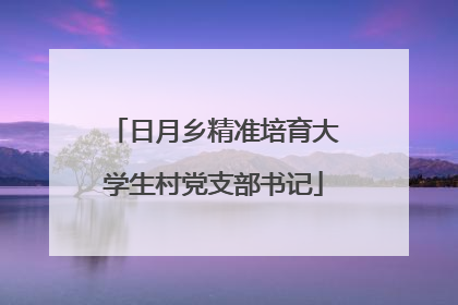 日月乡精准培育大学生村党支部书记