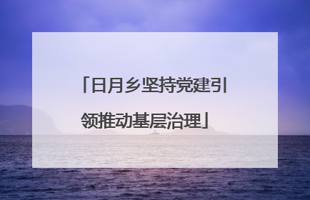 日月乡坚持党建引领推动基层治理
