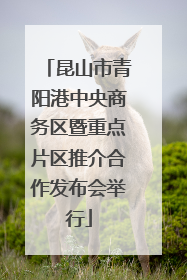 昆山市青阳港中央商务区暨重点片区推介合作发布会举行