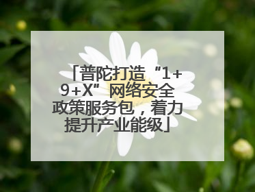 普陀打造“1+9+X”网络安全政策服务包，着力提升产业能级