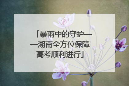 暴雨中的守护——湖南全方位保障高考顺利进行