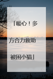 暖心！多方合力救助被困小猫