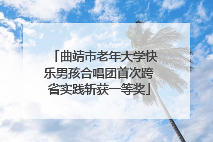 曲靖市老年大学快乐男孩合唱团首次跨省实践斩获一等奖