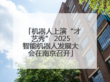 机器人上演“才艺秀” 2025智能机器人发展大会在南京召开