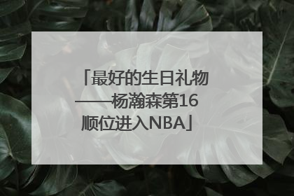 最好的生日礼物——杨瀚森第16顺位进入NBA