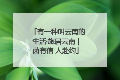 有一种叫云南的生活·旅居云南｜菌有信 人赴约