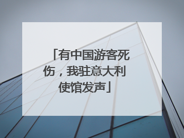 有中国游客死伤，我驻意大利使馆发声
