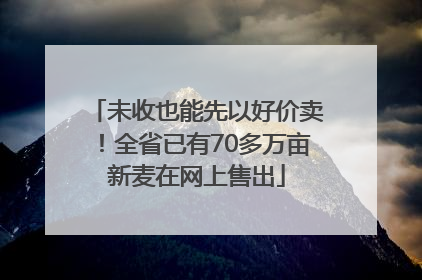 未收也能先以好价卖！全省已有70多万亩新麦在网上售出