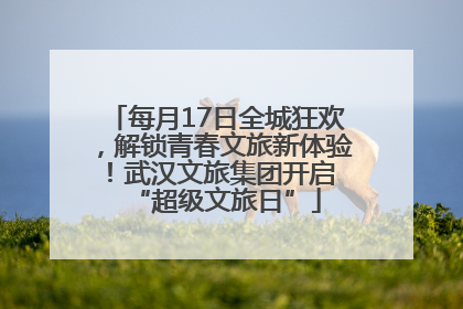 每月17日全城狂欢，解锁青春文旅新体验！武汉文旅集团开启 “超级文旅日”