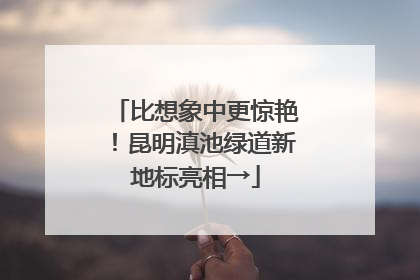 比想象中更惊艳！昆明滇池绿道新地标亮相→