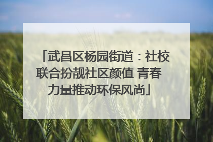 武昌区杨园街道：社校联合扮靓社区颜值 青春力量推动环保风尚