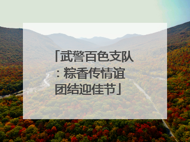 武警百色支队：粽香传情谊 团结迎佳节