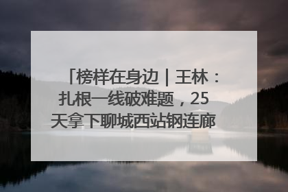榜样在身边｜王林：扎根一线破难题，25天拿下聊城西站钢连廊“硬核”工程