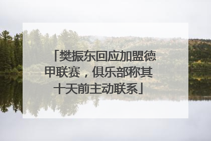 樊振东回应加盟德甲联赛，俱乐部称其十天前主动联系