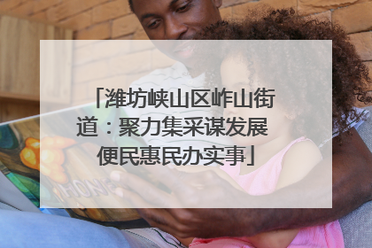 潍坊峡山区岞山街道：聚力集采谋发展 便民惠民办实事