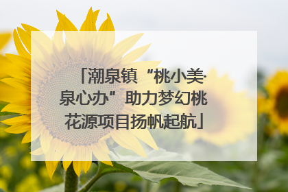 潮泉镇“桃小美·泉心办”助力梦幻桃花源项目扬帆起航