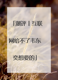潮评丨互联网给不了韦东奕想要的