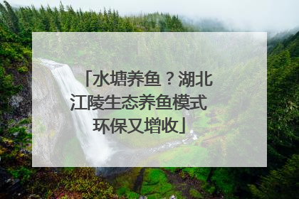 水塘养鱼？湖北江陵生态养鱼模式环保又增收