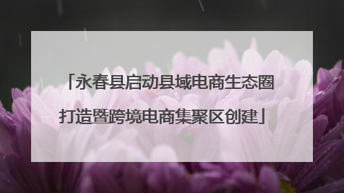 永春县启动县域电商生态圈打造暨跨境电商集聚区创建