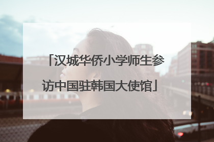 汉城华侨小学师生参访中国驻韩国大使馆