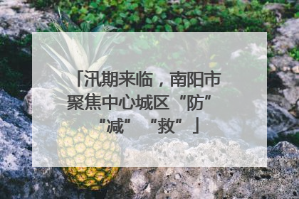 汛期来临，南阳市聚焦中心城区“防”“减”“救”