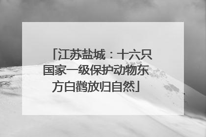 江苏盐城：十六只国家一级保护动物东方白鹳放归自然