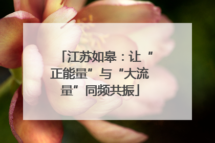 江苏如皋：让“正能量”与“大流量”同频共振