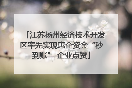 江苏扬州经济技术开发区率先实现惠企资金“秒到账” 企业点赞