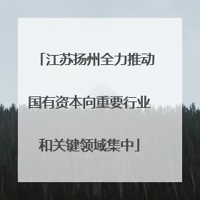 江苏扬州全力推动国有资本向重要行业和关键领域集中
