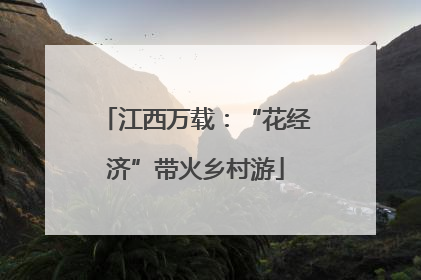 江西万载：“花经济”带火乡村游