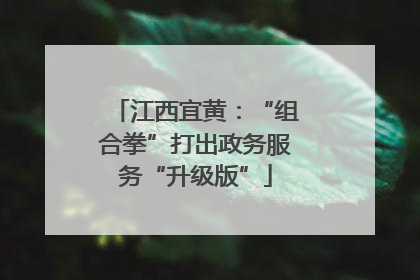 江西宜黄：“组合拳”打出政务服务“升级版”