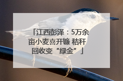 江西彭泽：5万余亩小麦喜开镰 秸秆回收变“绿金”