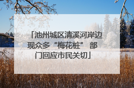 池州城区清溪河岸边现众多“梅花桩” 部门回应市民关切