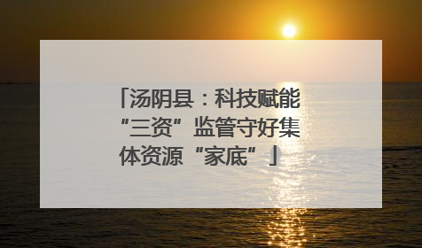 汤阴县：科技赋能“三资”监管守好集体资源“家底”