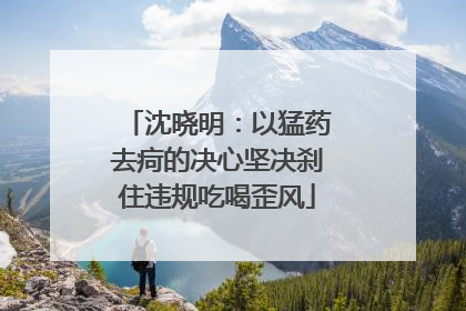 沈晓明：以猛药去疴的决心坚决刹住违规吃喝歪风