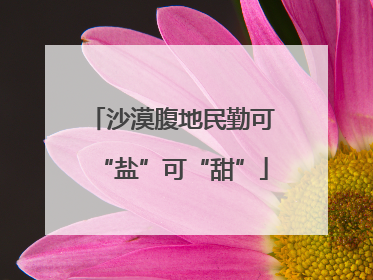沙漠腹地民勤可“盐”可“甜”