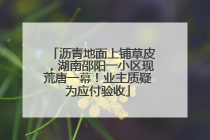 沥青地面上铺草皮，湖南邵阳一小区现荒唐一幕！业主质疑为应付验收