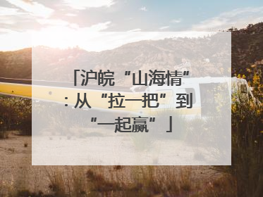 沪皖“山海情”：从“拉一把”到“一起赢”