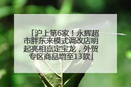 沪上第6家！永辉超市胖东来模式调改店明起亮相嘉定宝龙，外贸专区商品增至13款