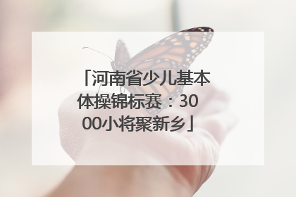 河南省少儿基本体操锦标赛：3000小将聚新乡