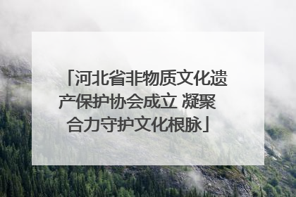 河北省非物质文化遗产保护协会成立 凝聚合力守护文化根脉