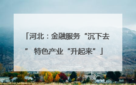 河北：金融服务“沉下去” 特色产业“升起来”